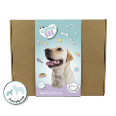 Surprise Box Porte Peq.